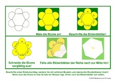 Beschreibung-fuer-Wunderblumen.pdf